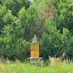 Domaine Swayoga Familiale De Charme Au Coeur De La Nature Pres De Sarlat Pour Quatre Personnes Gæstehus *