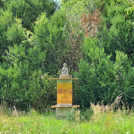 Domaine Swayoga Familiale De Charme Au Coeur De La Nature Pres De Sarlat Pour Quatre Personnes Penzion 3*