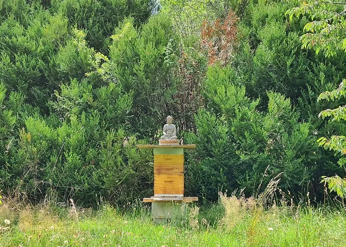 Domaine Swayoga Familiale De Charme Au Coeur De La Nature Pres De Sarlat Pour Quatre Personnes בית הארחה *